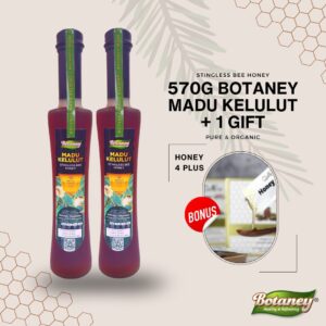 Pakej 2: 570g Stingless Bee Honey